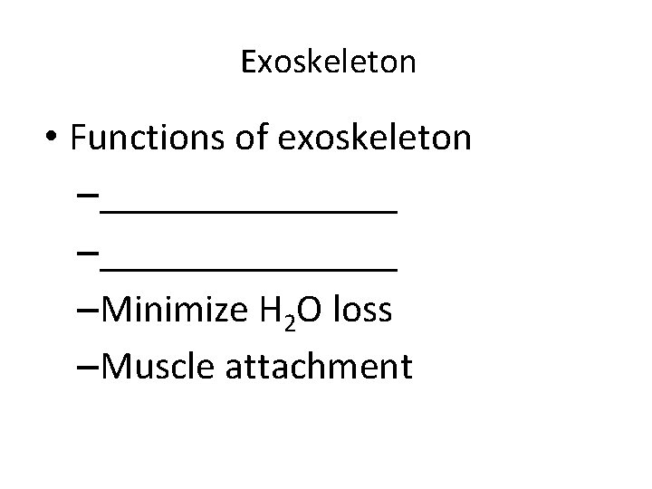 Exoskeleton • Functions of exoskeleton –_______________ –Minimize H 2 O loss –Muscle attachment 