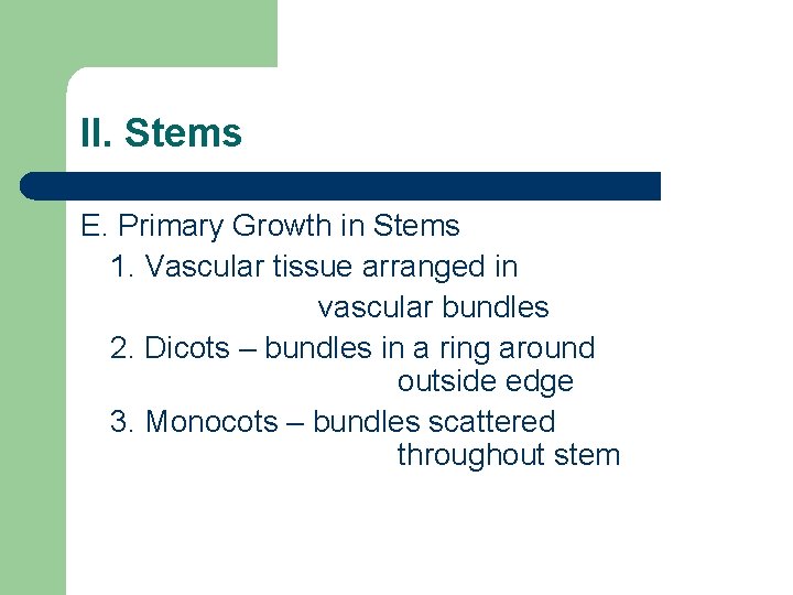 II. Stems E. Primary Growth in Stems 1. Vascular tissue arranged in vascular bundles II. Stems E. Primary Growth in Stems 1. Vascular tissue arranged in vascular bundles