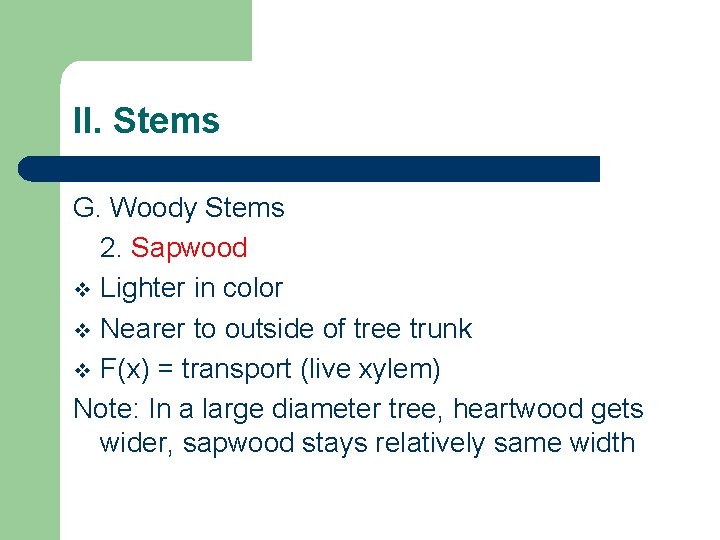II. Stems G. Woody Stems 2. Sapwood v Lighter in color v Nearer to II. Stems G. Woody Stems 2. Sapwood v Lighter in color v Nearer to