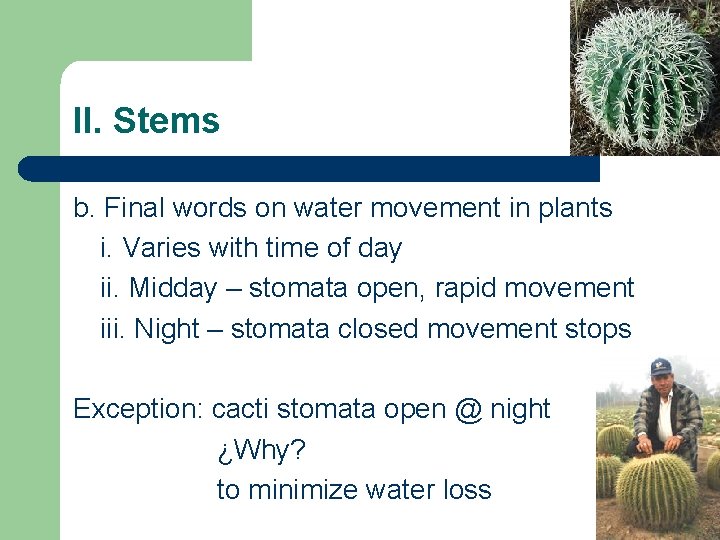 II. Stems b. Final words on water movement in plants i. Varies with time II. Stems b. Final words on water movement in plants i. Varies with time