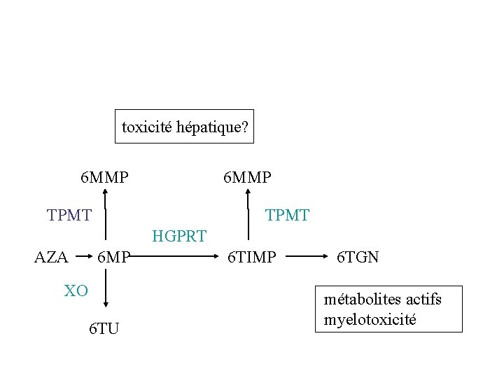 toxicité hépatique? 6 MMP TPMT HGPRT AZA 6 MP XO 6 TU 6 TIMP