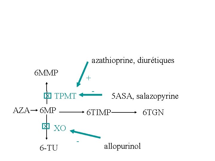 azathioprine, diurétiques 6 MMP + TPMT AZA 6 MP - 5 ASA, salazopyrine 6