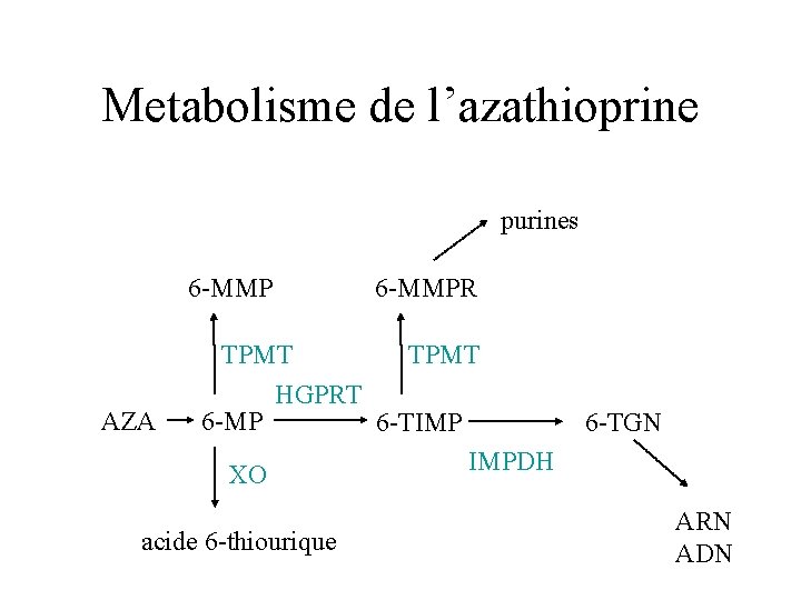 Metabolisme de l’azathioprine purines 6 -MMP AZA 6 -MMPR TPMT HGPRT 6 -MP 6