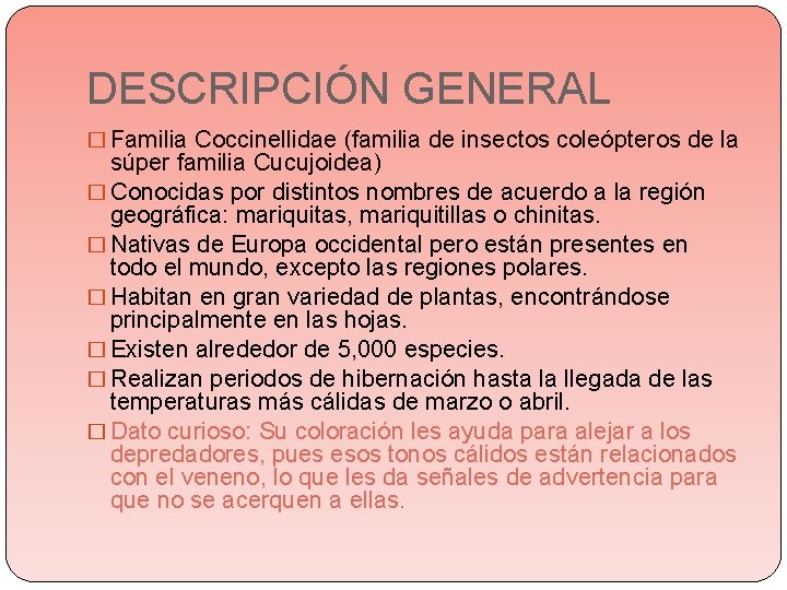 DESCRIPCIÓN GENERAL � Familia Coccinellidae (familia de insectos coleópteros de la súper familia Cucujoidea) DESCRIPCIÓN GENERAL � Familia Coccinellidae (familia de insectos coleópteros de la súper familia Cucujoidea)