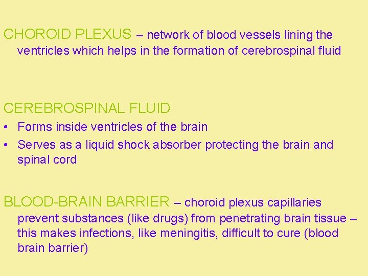 CHOROID PLEXUS – network of blood vessels lining the ventricles which helps in the