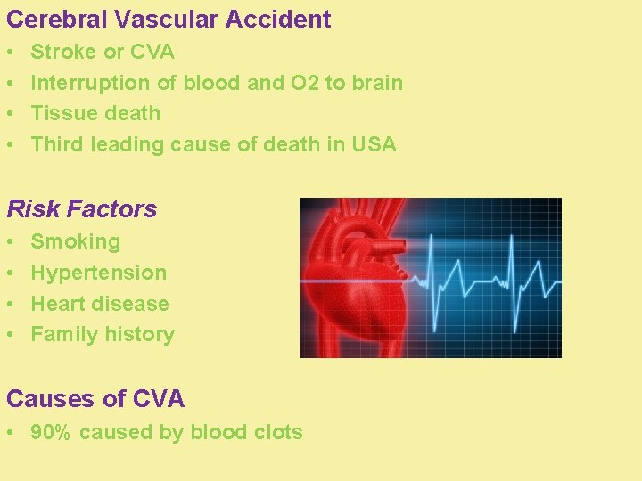 Cerebral Vascular Accident • • Stroke or CVA Interruption of blood and O 2