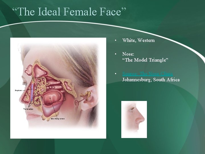 “The Ideal Female Face” • White, Western • Nose: “The Model Triangle” • Source: