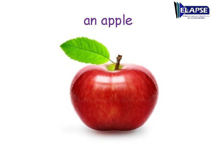 an apple 