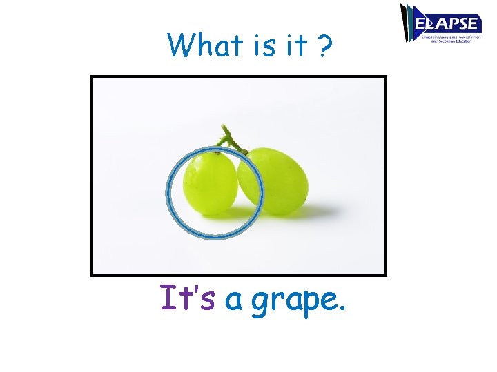 What is it ? It’s a grape. 