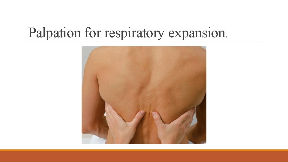 Palpation for respiratory expansion. 