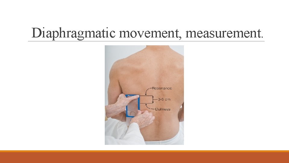 Diaphragmatic movement, measurement. 