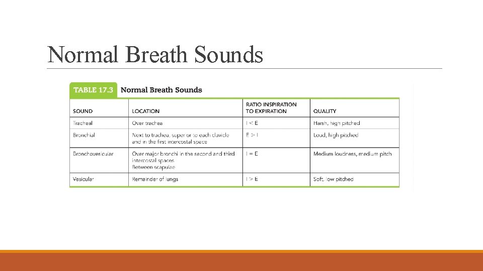 Normal Breath Sounds 