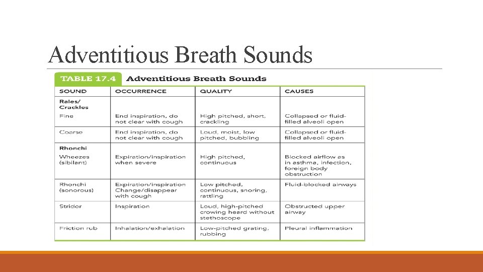 Adventitious Breath Sounds 