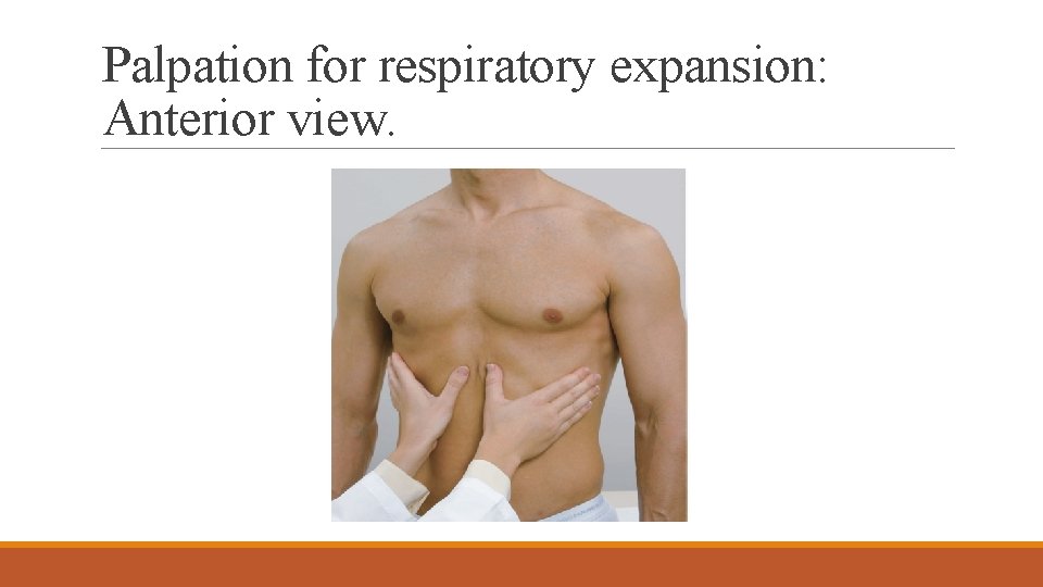 Palpation for respiratory expansion: Anterior view. 