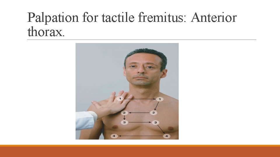 Palpation for tactile fremitus: Anterior thorax. 