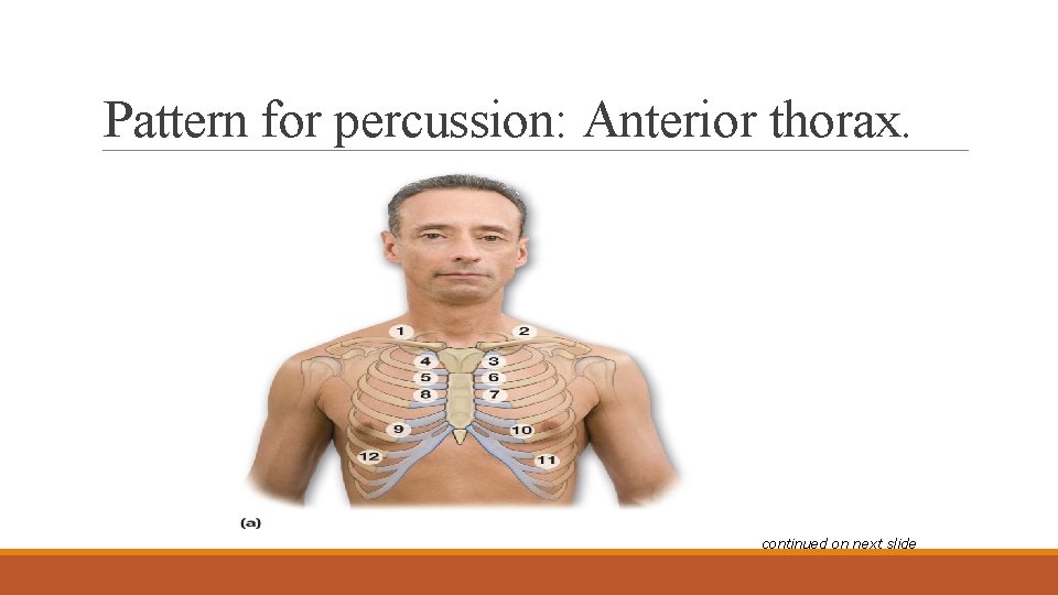 Pattern for percussion: Anterior thorax. continued on next slide 