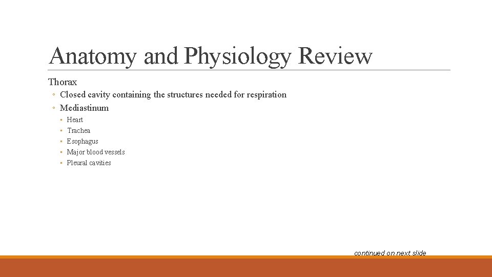 Anatomy and Physiology Review Thorax ◦ Closed cavity containing the structures needed for respiration