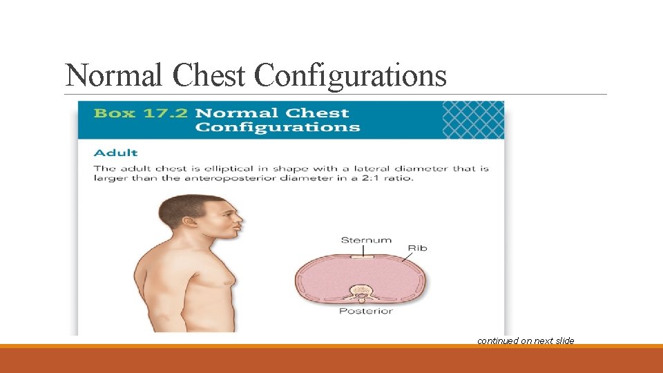 Normal Chest Configurations continued on next slide 