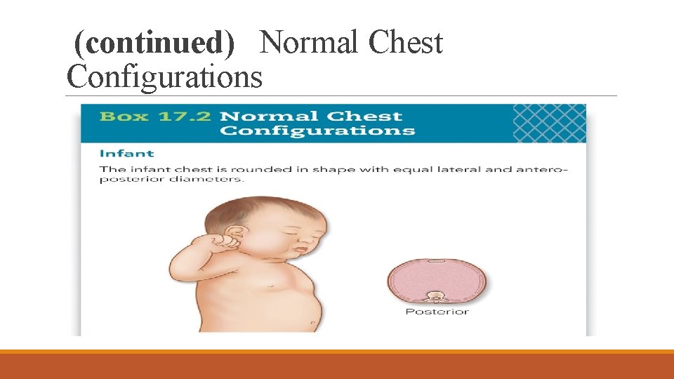 (continued) Normal Chest Configurations 