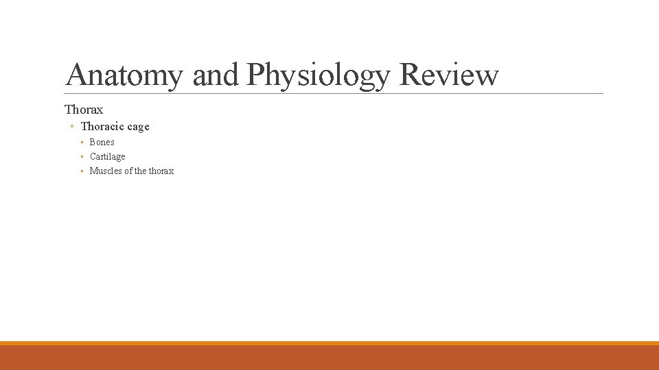 Anatomy and Physiology Review Thorax ◦ Thoracic cage ◦ Bones ◦ Cartilage ◦ Muscles