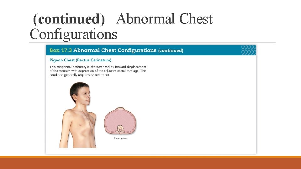 (continued) Abnormal Chest Configurations 