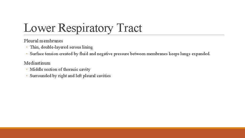 Lower Respiratory Tract Pleural membranes ◦ Thin, double-layered serous lining ◦ Surface tension created