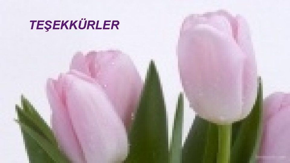 TEŞEKKÜRLER TEŞEKKÜRLER