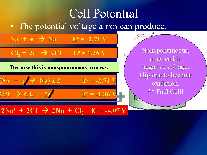 Cell Potential • The potential voltage a rxn can produce. Na+ + e- Na