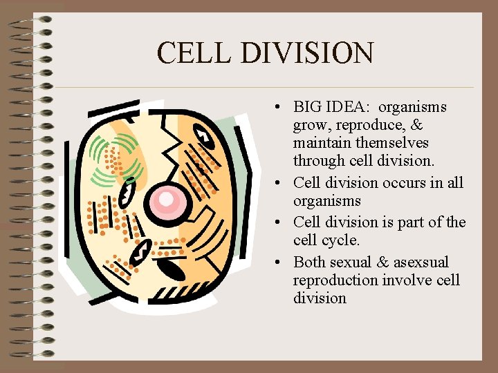 CELL DIVISION • BIG IDEA: organisms grow, reproduce, & maintain themselves through cell division.