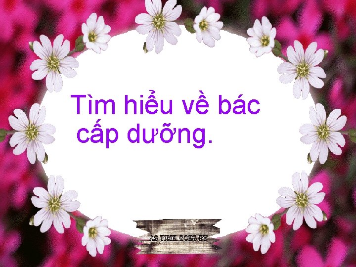 Tìm hiểu về bác cấp dưỡng. 