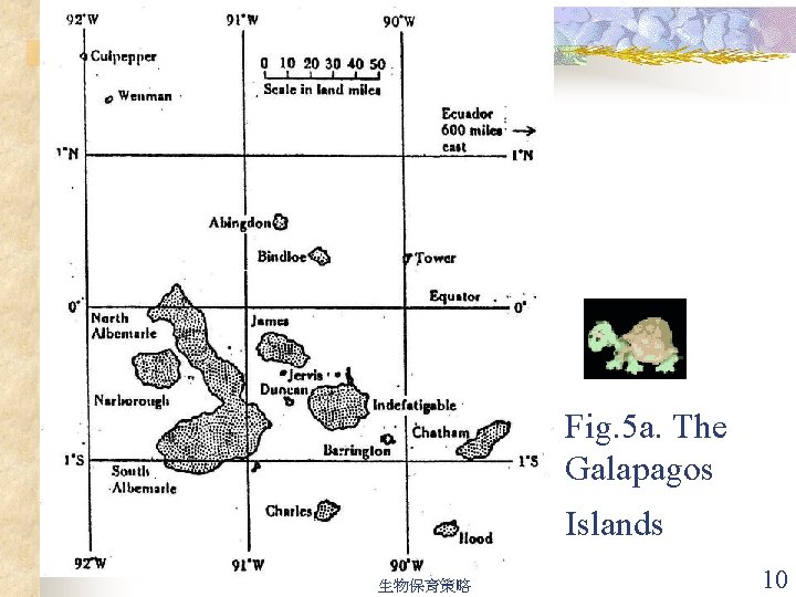 Fig. 5 a. The Galapagos Islands 生物保育策略 10 