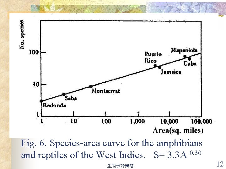 Fig. 6. Species-area curve for the amphibians and reptiles of the West Indies. S=