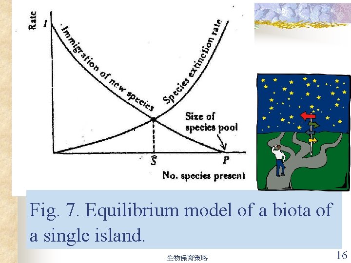 Fig. 7. Equilibrium model of a biota of a single island. 生物保育策略 16 