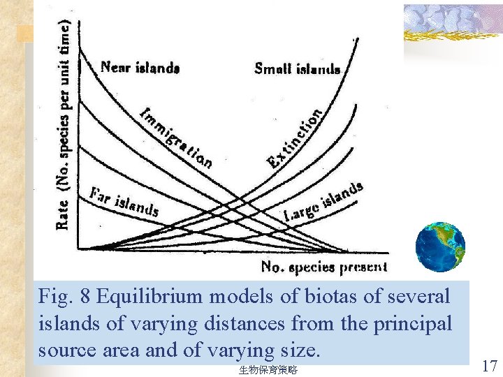 Fig. 8 Equilibrium models of biotas of several islands of varying distances from the