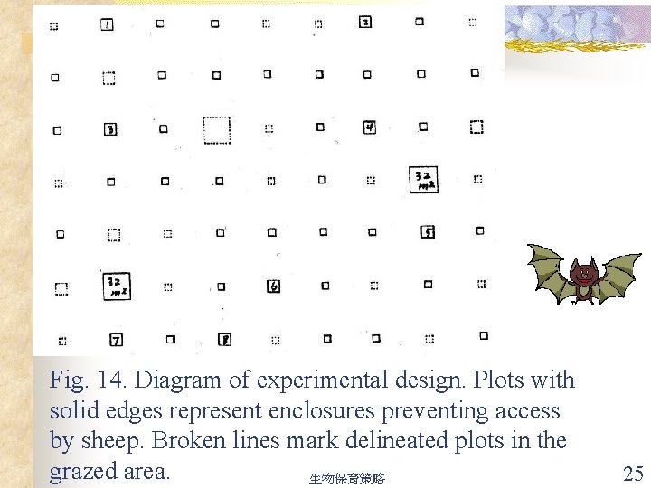 Fig. 14. Diagram of experimental design. Plots with solid edges represent enclosures preventing access