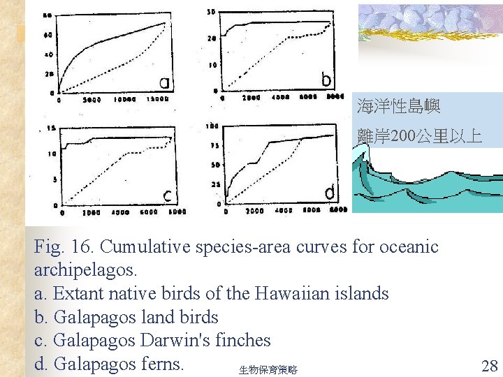 海洋性島嶼 離岸 200公里以上 Fig. 16. Cumulative species-area curves for oceanic archipelagos. a. Extant native