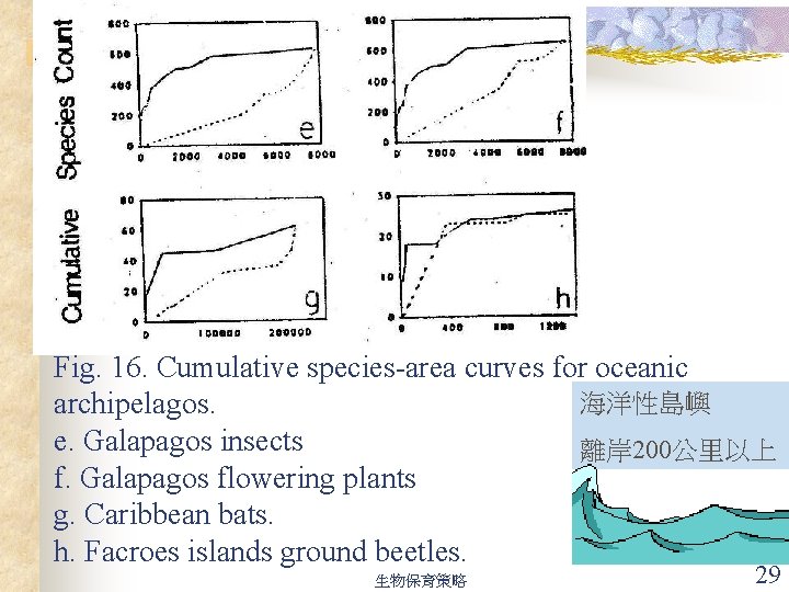 Fig. 16. Cumulative species-area curves for oceanic 海洋性島嶼 archipelagos. e. Galapagos insects 離岸 200公里以上