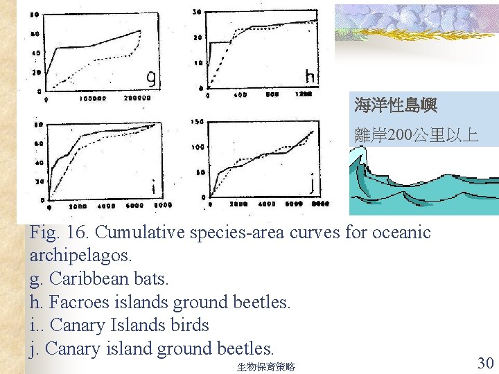 海洋性島嶼 離岸 200公里以上 Fig. 16. Cumulative species-area curves for oceanic archipelagos. g. Caribbean bats.