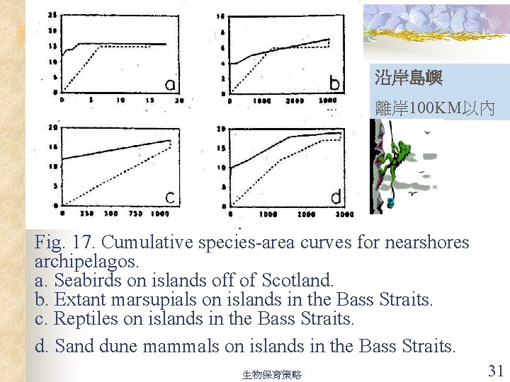 沿岸島嶼 離岸 100 KM以內 Fig. 17. Cumulative species-area curves for nearshores archipelagos. a. Seabirds