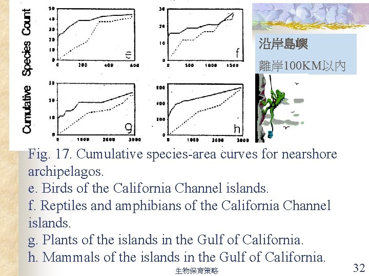 沿岸島嶼 離岸 100 KM以內 Fig. 17. Cumulative species-area curves for nearshore archipelagos. e. Birds