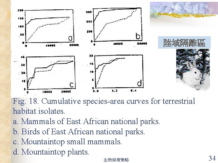 陸域隔離區 Fig. 18. Cumulative species-area curves for terrestrial habitat isolates. a. Mammals of East