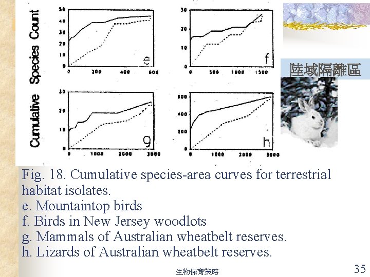 陸域隔離區 Fig. 18. Cumulative species-area curves for terrestrial habitat isolates. e. Mountaintop birds f.