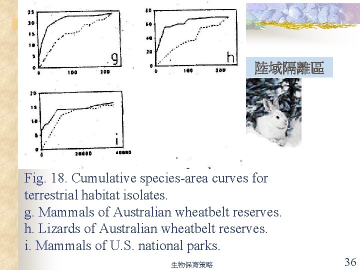 陸域隔離區 Fig. 18. Cumulative species-area curves for terrestrial habitat isolates. g. Mammals of Australian