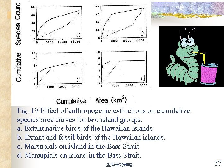 Fig. 19 Effect of anthropogenic extinctions on cumulative species-area curves for two island groups.