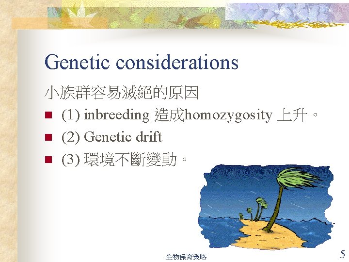 Genetic considerations 小族群容易滅絕的原因 n (1) inbreeding 造成homozygosity 上升。 n (2) Genetic drift n (3)