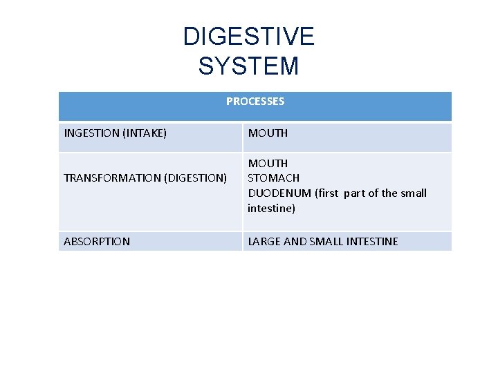 DIGESTIVE SYSTEM PROCESSES INGESTION (INTAKE) TRANSFORMATION (DIGESTION) ABSORPTION MOUTH STOMACH DUODENUM (first part of