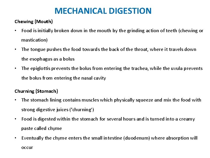 MECHANICAL DIGESTION Chewing (Mouth) • Food is initially broken down in the mouth by