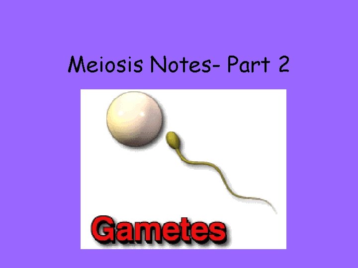 Meiosis Notes- Part 2 