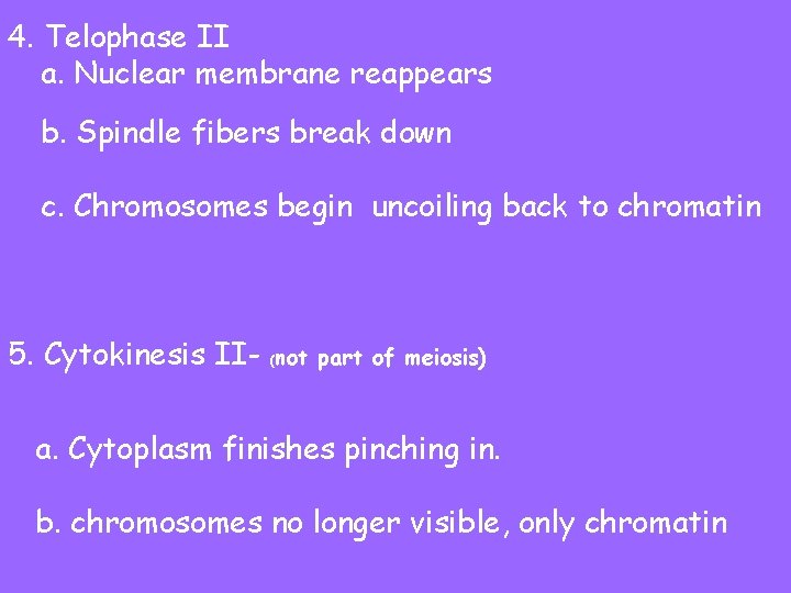 4. Telophase II a. Nuclear membrane reappears b. Spindle fibers break down c. Chromosomes