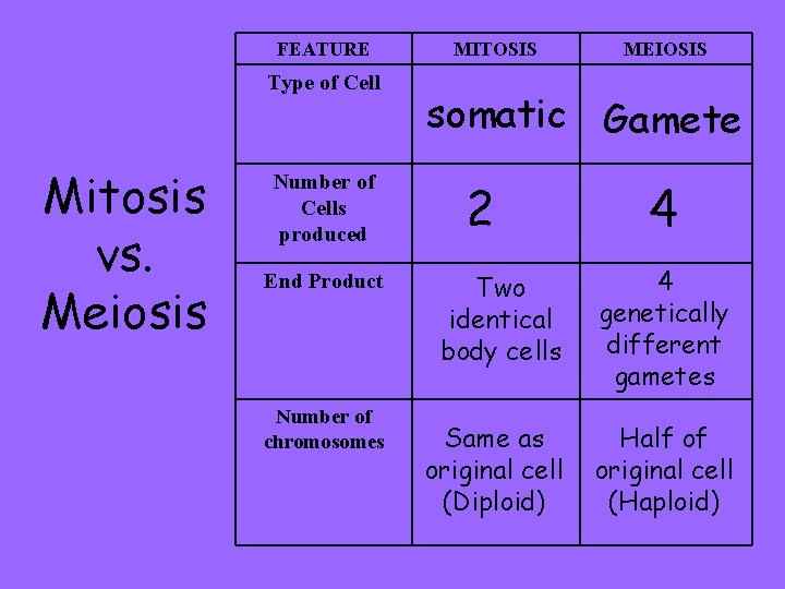 FEATURE Type of Cell Mitosis vs. Meiosis Number of Cells produced End Product Number